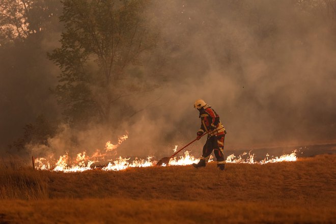 Požar na Krasu. FOTO: Črt Piksi/Delo
