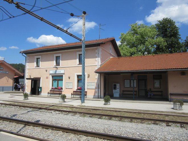 Promet bo v času prenove železniške postaje potekal nemoteno. FOTO: Špela Kuralt/Delo
