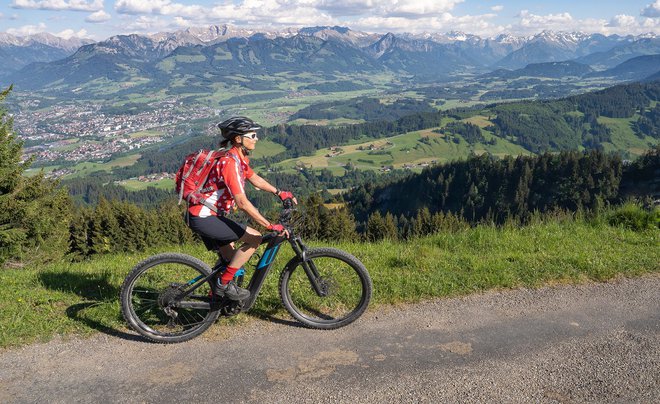 Električna kolesa so tako v Evropi kot pri nas vse bolj priljubljena. FOTO: Shutterstock
