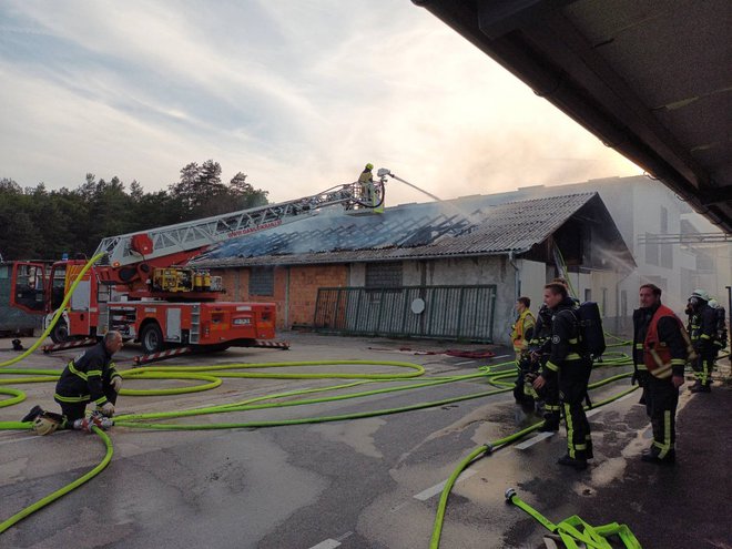 FOTO: Mestna občina Kranj
