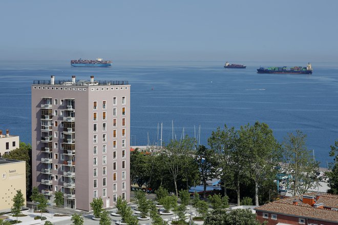 Tudi Luka Koper je med podjetji, ki lahko sedanjo krizo v poslovnem smislu obrnejo v svoj prid. FOTO: Jože Suhadolnik
