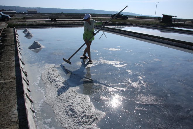 Solinarjem ustrezata vročina in suh veter. FOTO: Boris Šuligoj
