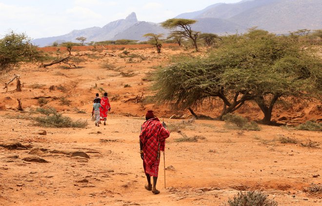 Na Afriškem rogu, v Etiopiji, Keniji in Somaliji, že četrto leto zapored ni dežja, kar za ljudi, živino in ekosistem postaja nevzdržno. FOTO: Thomas Mukoya/Reuters
