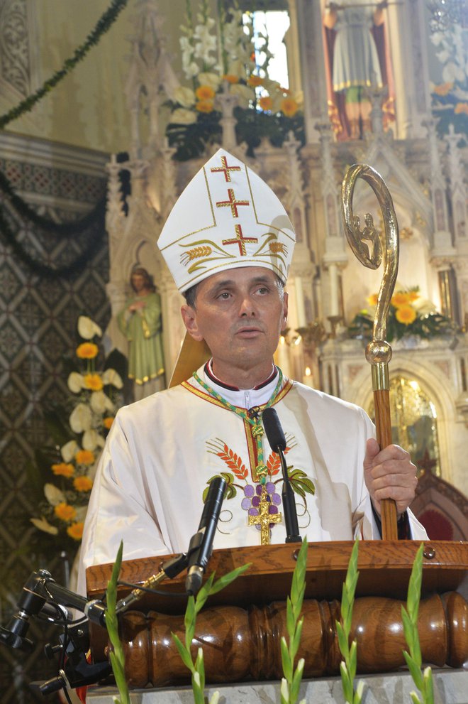 Andrej Saje je bil od leta 2014 duhovni pomočnik v Selah in Bajdišah v krško-celovški škofiji na avstrijskem Koroškem. FOTO: Drago Perko
