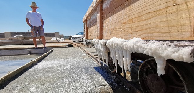 Ne, v solinah ni snežilo, tako se sol še dolgo cedi. Solinarji pravijo, da bi morala stati v skladišču še vsaj leto dni. FOTO: Boris Šuligoj
