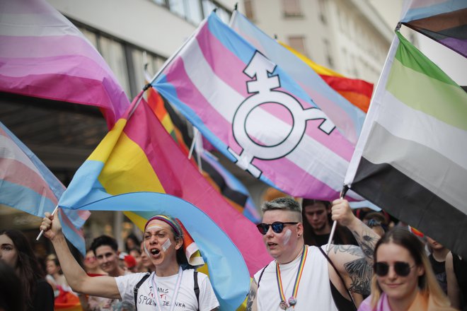 Za spremembo dokumeta je v Sloveniji potrebno zdravniško potrdilo o duševni motnji. FOTO: Uroš&nbsp;Hočevar/Kolektiff
