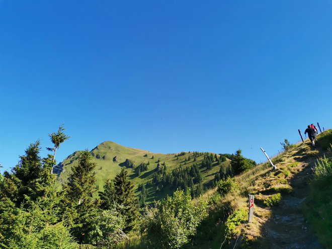 Za nabiranje kondicije oziroma prijetno preživet dan v naravi in tišini je Porezen zmeraj dobra izbira. FOTO: Anja Intihar/Delo
