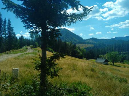 To je Roblekova planina. FOTO: Miroslav Cvjetičanin/Delo