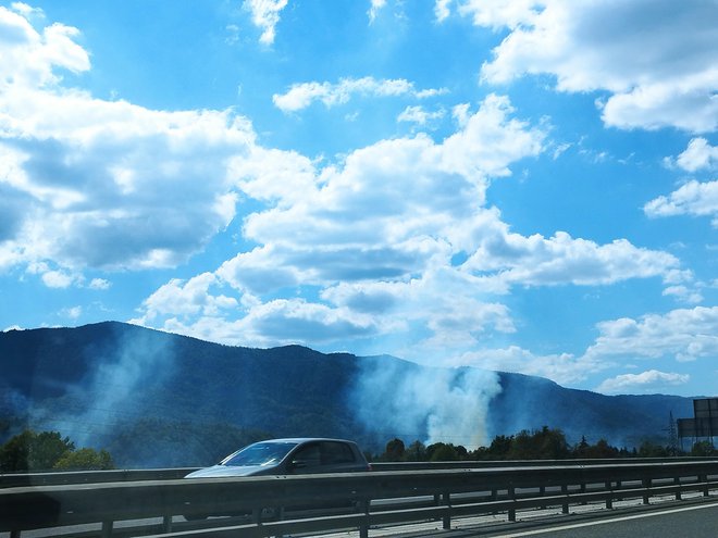 Gori ob železniški progi Globoko-Radovljica. FOTO: Brigite Ferlič Žgajnar
