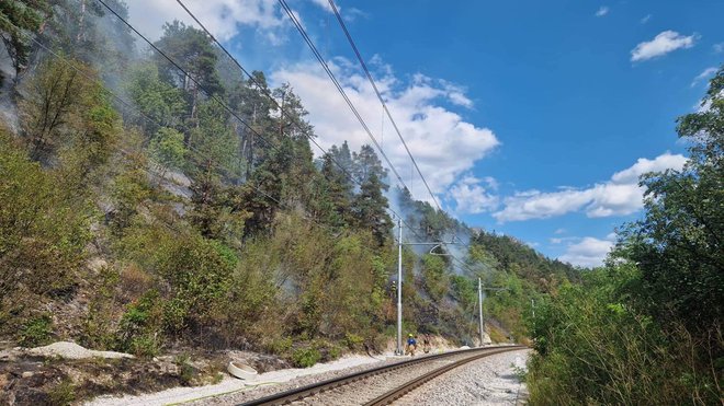 Tudi gorenjski gasilci imajo polne roke dela. FOTO: PGD Radovljica
