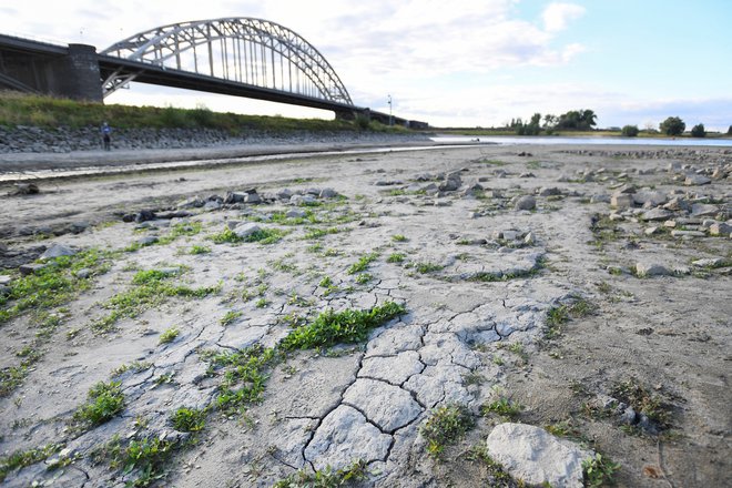 Vodostaji pomembnih evropskih rek so izjemno nizki.&nbsp;FOTO:&nbsp;Piroschka Van De Wouw/Reuters
