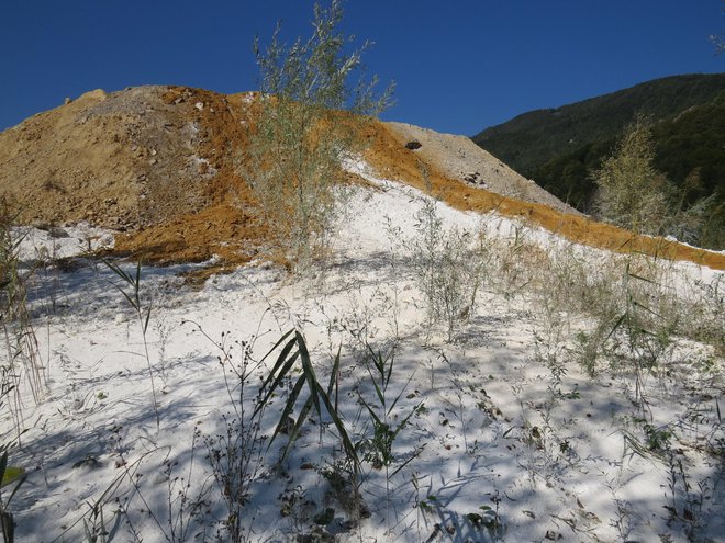 Apneničarji na državnem zemljišču poleg odpadnega materiala odlagajo tudi apno. FOTO: Bojan Rajšek/Delo
