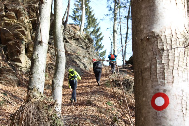 Izogibajte se neoznačenih planinskih poti. FOTO: Blaž Močnik
