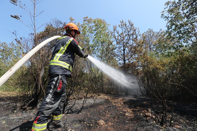 Požari so letos poleti stalnica. FOTO: Dejan Javornik
