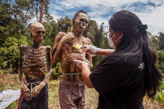 Članica etnične skupine Toraja pripravlja telesa izkopanih sorodnikov na pokopališču v vasi Torea v indonezijskem Južnem Sulawesiju. V okviru tradicionalnih obredov Manene v čast umrlim, jih je očistila in oblekla. Foto: Andri Saputra/Afp
