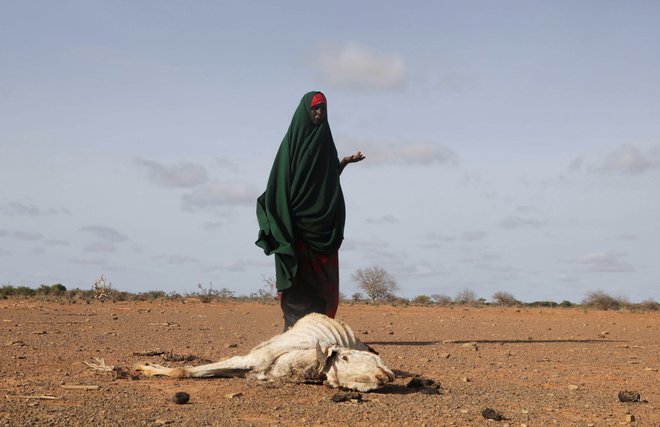 Pokrajina Gedo v Somaliji Foto Feisal Omar/Reuters
