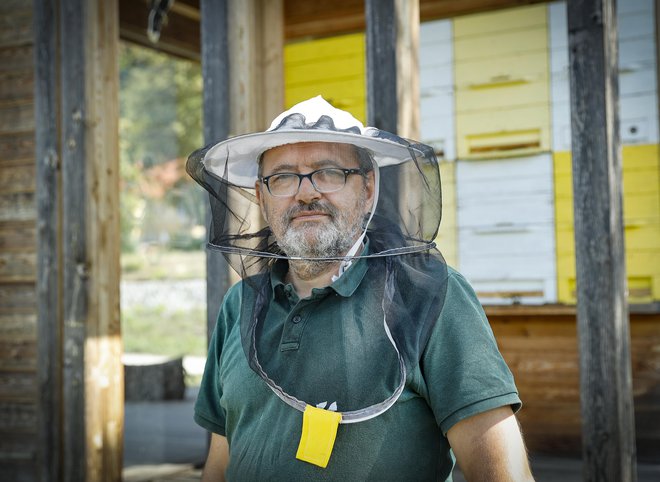 Čeprav kot družba do malih letečih bitij gojimo spoštovanje, po drugi strani ne delujemo vedno v njihovo korist. FOTO: Jože Suhadolnik/Delo
