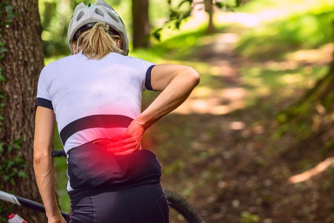 Pri kolesarjenju najbolj uporabljamo mišice, ki upogibajo kolk in iztegujejo koleno. FOTO: Arhiv Polet/ Shutterstock
