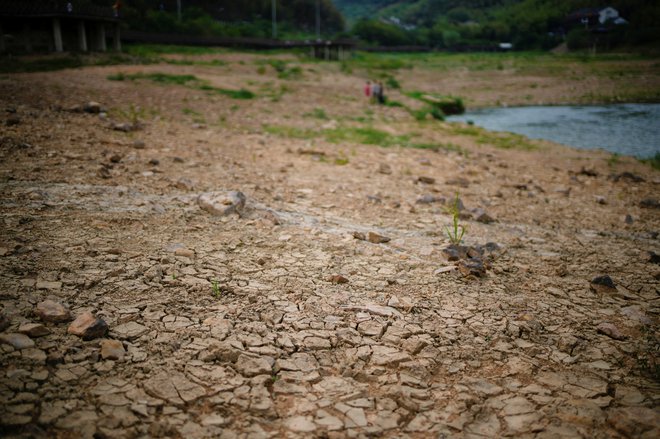 Temperature nad 45 stopinjami Celzija so mnoge kitajske province prisilile k omejevanju porabe električne energije. FOTO: Aly Song/Reuters
