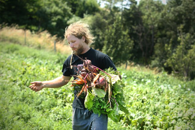 Ne glede na tveganja in ovire so ekološki kmetje optimistični. FOTO:&nbsp;Jure Eržen/Delo
