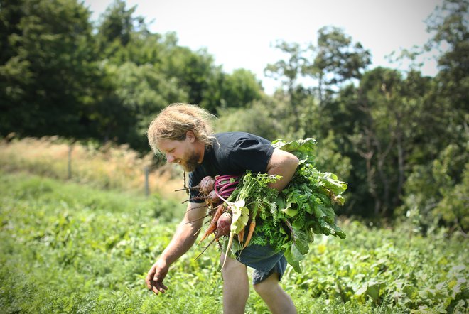 Tržne ekološke pridelovalce v Sloveniji večinoma promovirajo trgovske verige, saj so sami prešibki za vlaganje v samopromocijo. FOTO:&nbsp;Jure Eržen/Delo
