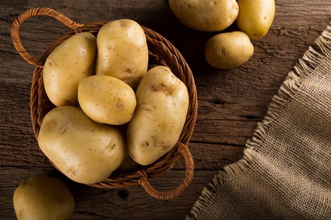 Krompir je četrta najpogosteje gojena poljščina na svetu, takoj za rižem, koruzo in pšenico. FOTO: Shutterstock
