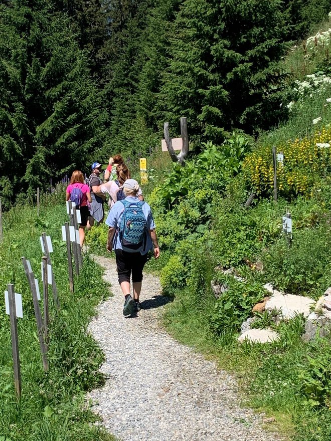 Posebnost je turistična zeliščarska ponudba. FOTO: Drago Bulc
