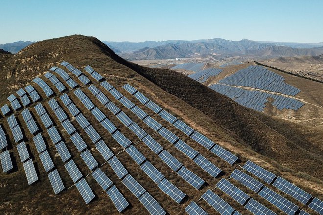 Kitajska gradi tudi ogromno velikih sončnih elektrarn.

FOTO: Michael Zhang/AFP
