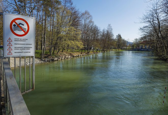 Vsakoletno pomladansko sekanje obrežne vegetacije je kriminal nad rekami. Obrežna vegetacija za rečne ekosisteme predstavlja to, kar človeku predstavlja koža &ndash; zaščito pred zunanjimi vplivi. FOTO JOŽE SUHADOLNIK/DELO
