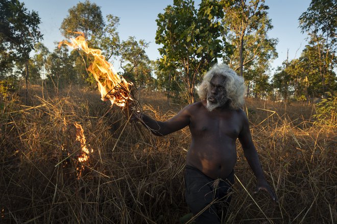 Reševanje gozdov z ognjem, kakor ga izvajajajo prvobitni prebivalci Avstralije. FOTO: Matthew Abbott, za National Geographic/Panos Pictures
