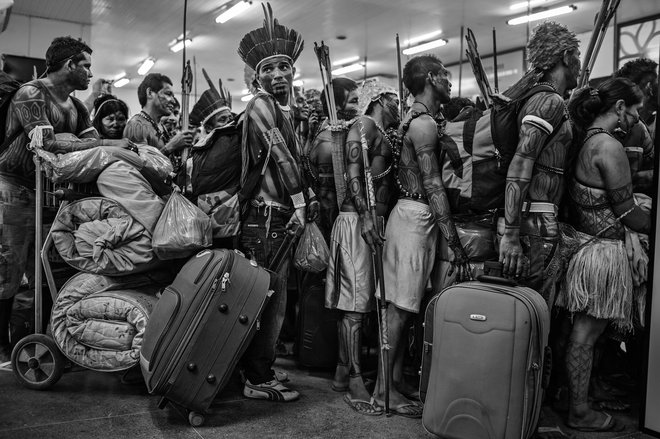 Amazonska distopija, najboljši dolgoročni fotografski projekt FOTO: Lalo De Almeida, za Folha De São Paulo/Panos Pictures
