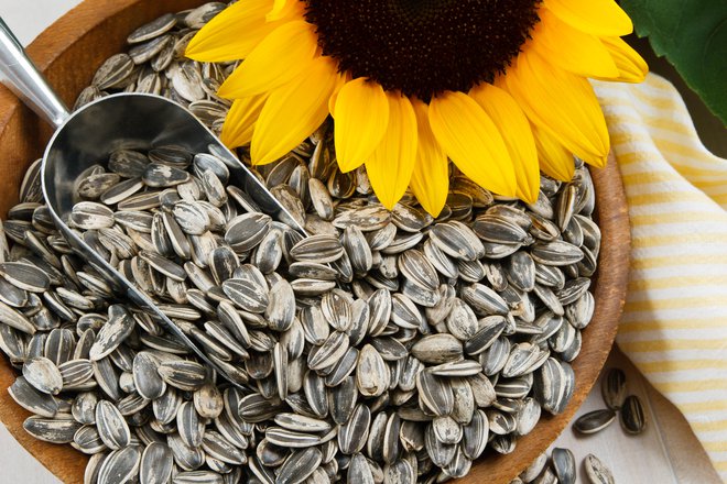 Sončnična semena vsebujejo nenasičene maščobe, baker in vitamin E. FOTO: Arhiv Polet/Shutterstock
