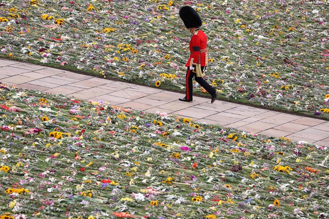 O mračni strani zgodovine imperija Britanci v šoli izvedo malo, če sploh. FOTO: Adrian Dennis/Afp
