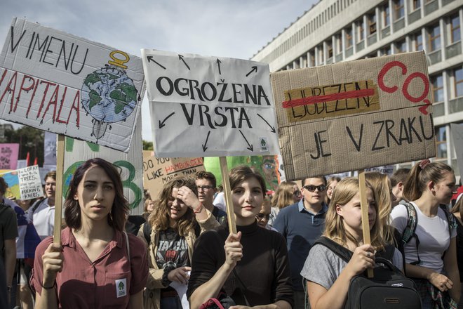 Kot izhaja iz zemljevida na spletni strani gibanja, v Sloveniji ni predvidenih protestov, nam najbližja bosta potekala v italijanski Gorici in Trstu (na fotografiji shod za podnebno pravičnost v&nbsp;Ljubljani leta 2019). FOTO: Voranc Vogel/Delo
