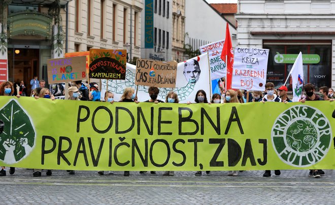 Okoljski protest v organizaciji Mladih za podnebno pravičnost leta 2020. FOTO: Uroš Hočevar/Delo
