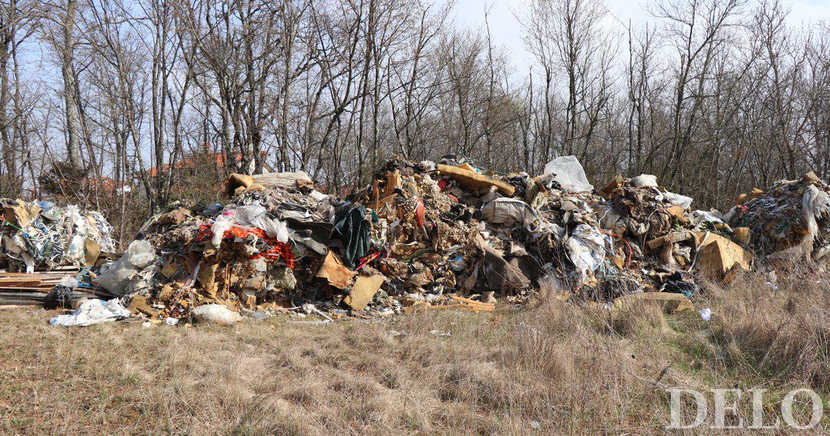 L’associazione ha immagazzinato i rifiuti in Italia e li ha spediti illegalmente in Slovenia