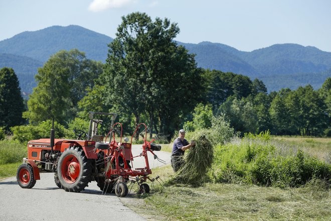 Slovenija si je postavila cilj do leta 2027 v ekološko kmetovanje vključiti 18 odstotkov površin, kar je po besedah kmetijske ministrice ambiciozno. FOTO:&nbsp;Matej Družnik/Delo
