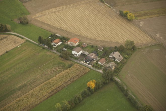 Foto: Jure Eržen/delo
