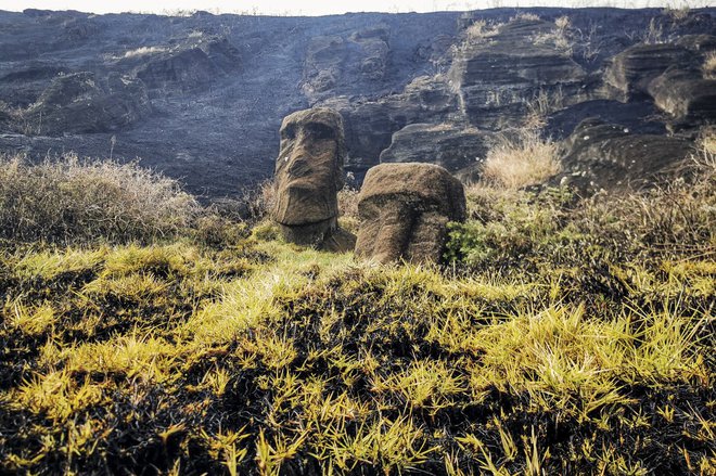 Slovite kamnite skulpture so bile poškodovane v požaru. FOTO: AFP
