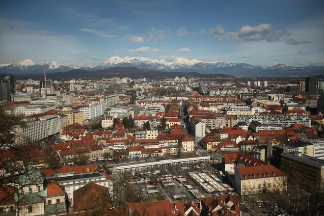 Korenine prepoznane &raquo;zvezdaste konstelacije&laquo; ali po &raquo;krakih&laquo; poimenovane zasnove Ljubljane segajo do fakultete za arhitekturo v Ljubljani. FOTO JURE ERŽEN/DELO

