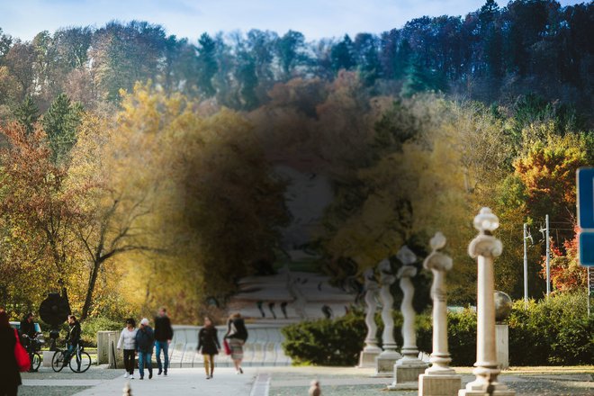 Tako lahko vidi bolnik s starostno degeneracijo rumene pege. FOTO: Shutterstock
