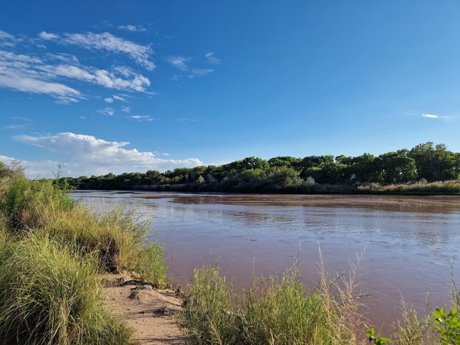 Reka Rio Grande počasi vijuga skozi ravnino mimo mesta Albuquerque FOTO: Anton Gradišek
