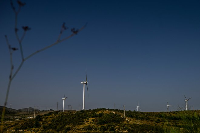 Tudi Portugalska se z več naložbami v obnovljive vire pospešeno poslavlja od fosilnih goriv. FOTO: Patricia De Melo Moreira/AFP
