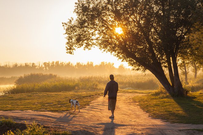 Zgodnje vstajanje Foto Shutterstock Shutterstock
