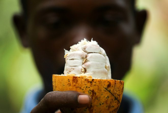 Ni dovolj poznati le porekla hrane, temveč tudi, kako je bila pridelana. FOTO:&nbsp;Luc Gnago/Reuters
