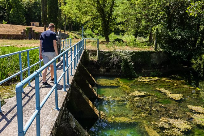 Reka Rižana je čez poletje vse manj zanesljiv vodni vir, zato v Istri potrebujejo dodatno rešitev. FOTO: Črt Piksi/Delo
