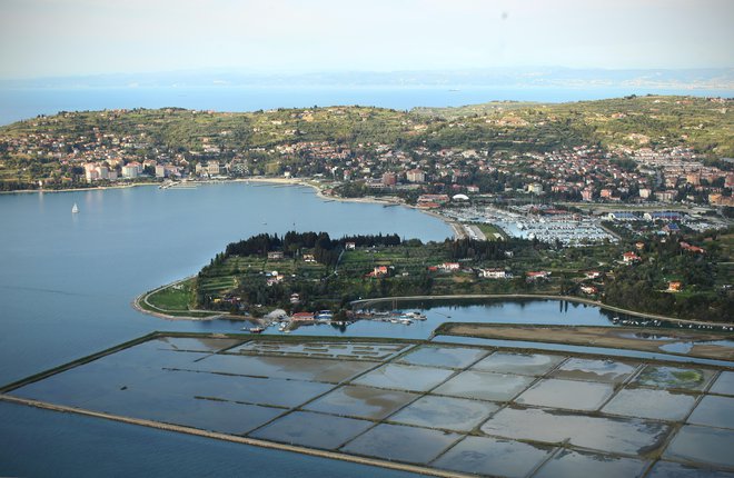 Voda, razsoljena v solinah, je lahko bolj čista kot na katerem koli izviru, iz katerega se sedaj pridobiva voda za Obalo. FOTO JURE ERŽEN/DELO
