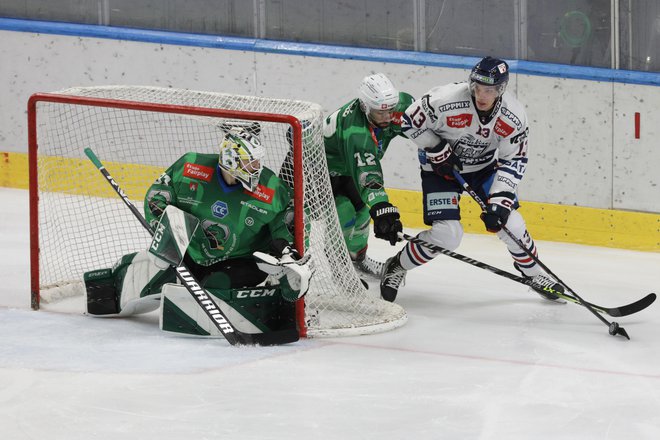 Ljubljanske hokejiste čaka v tej sezoni kup izzivov. FOTO: Voranc Vogel
