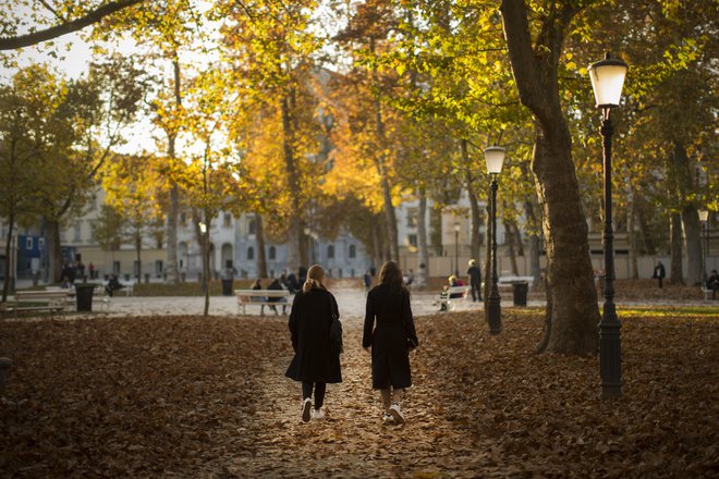 Ponekod je bil tako prejšnji rekord za november presežen za več kot stopinjo Celzija. FOTO: Jure Eržen/Delo
