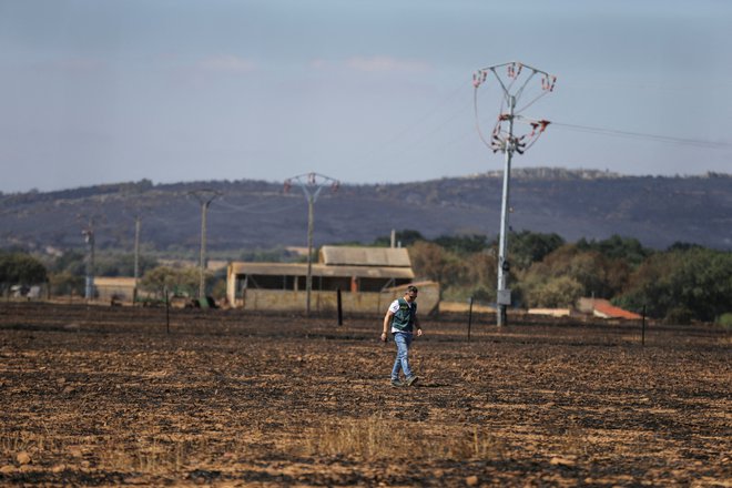 Huda suša v Španiji letos poleti. FOTO: Isabel Infantes/Reuters
